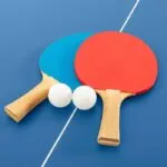 乒乓球世界巡迴賽（Table Tennis）
